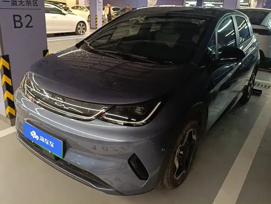BYD Dolphin 2025 из CN, фото 1