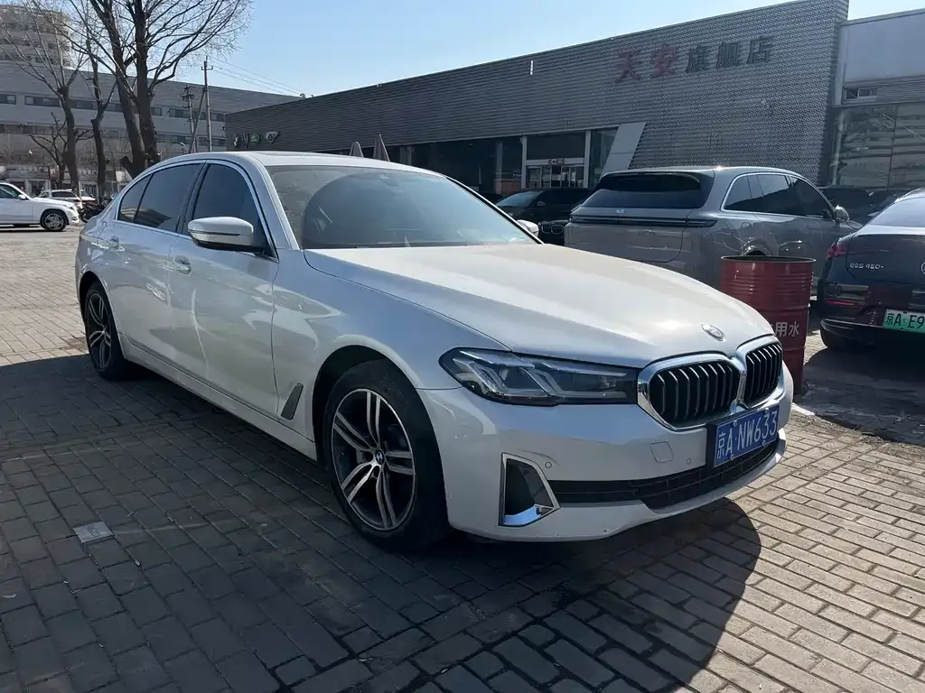 BMW 5 Series 2021 из CN, фото 1