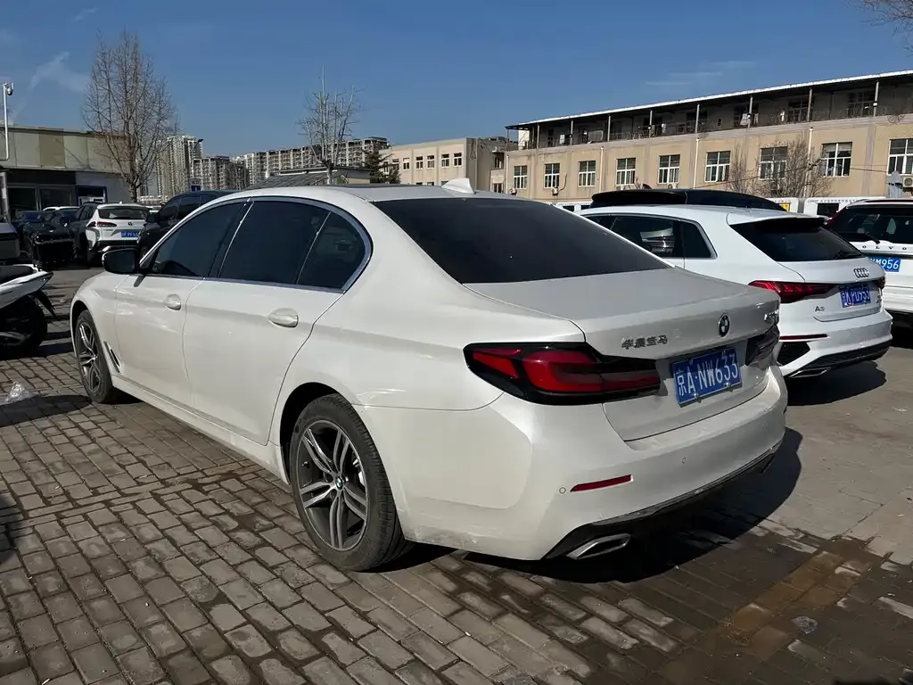 BMW 5 Series 2021 из CN, фото 5