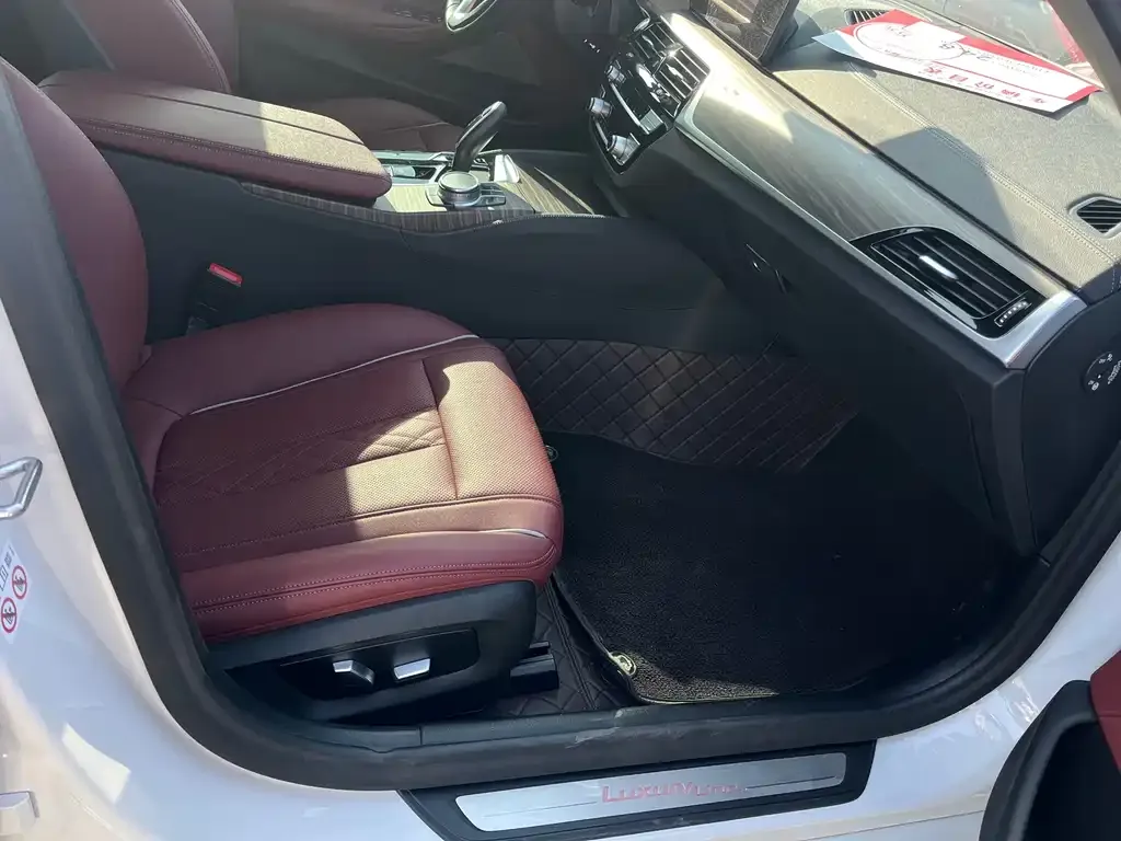 BMW 5 Series 2021 из CN, фото 6
