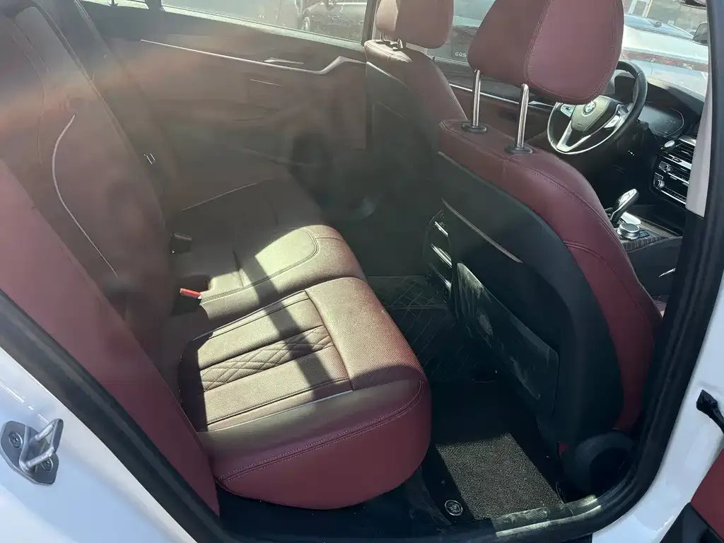 BMW 5 Series 2021 из CN, фото 7