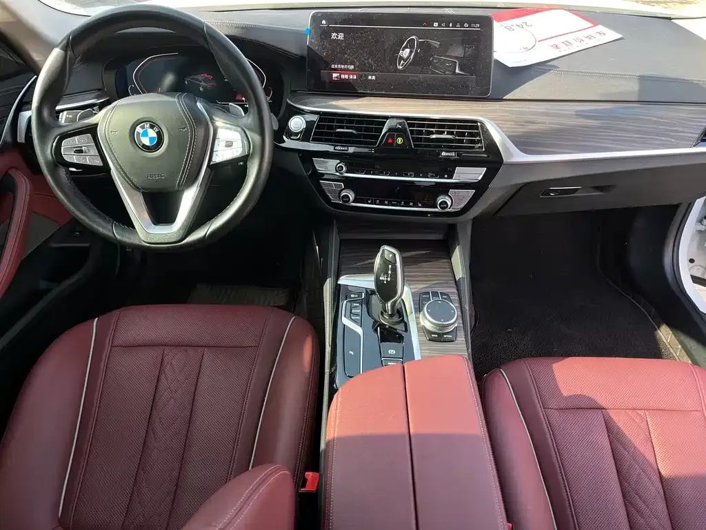 BMW 5 Series 2021 из CN, фото 8