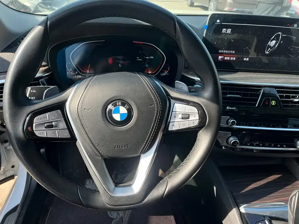 BMW 5 Series 2021 из CN, фото 2