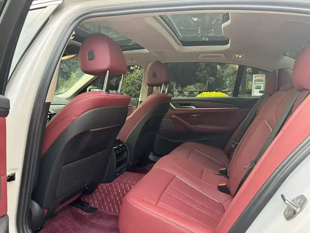 BMW 5 Series 2023 из CN, фото 2