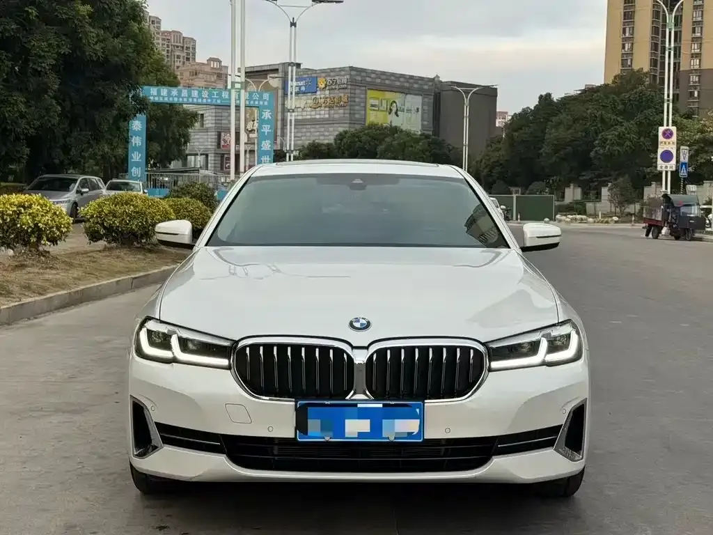 BMW 5 Series 2023 из CN, фото 7