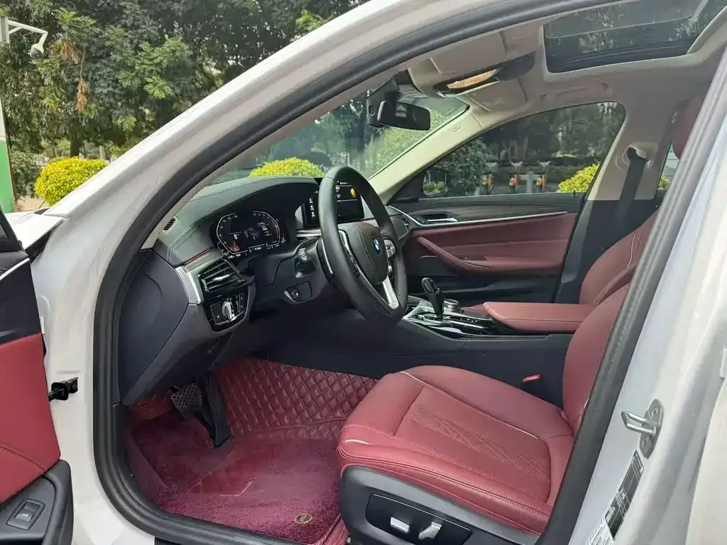 BMW 5 Series 2023 из CN, фото 9