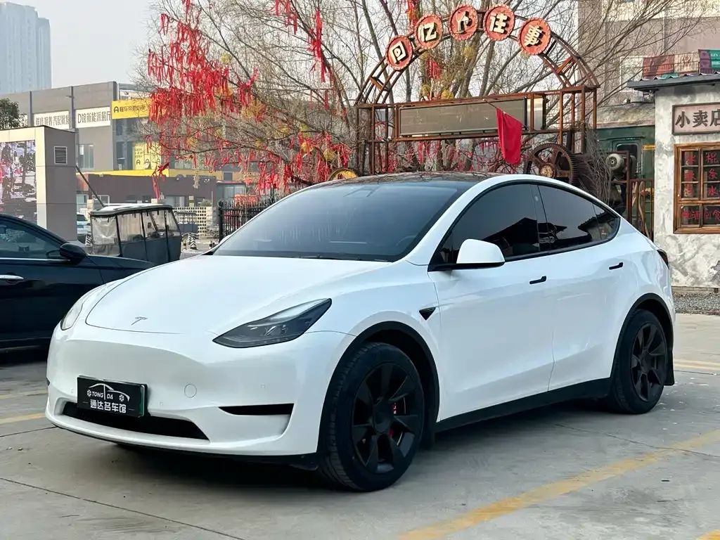 Tesla Model Y — фото 1
