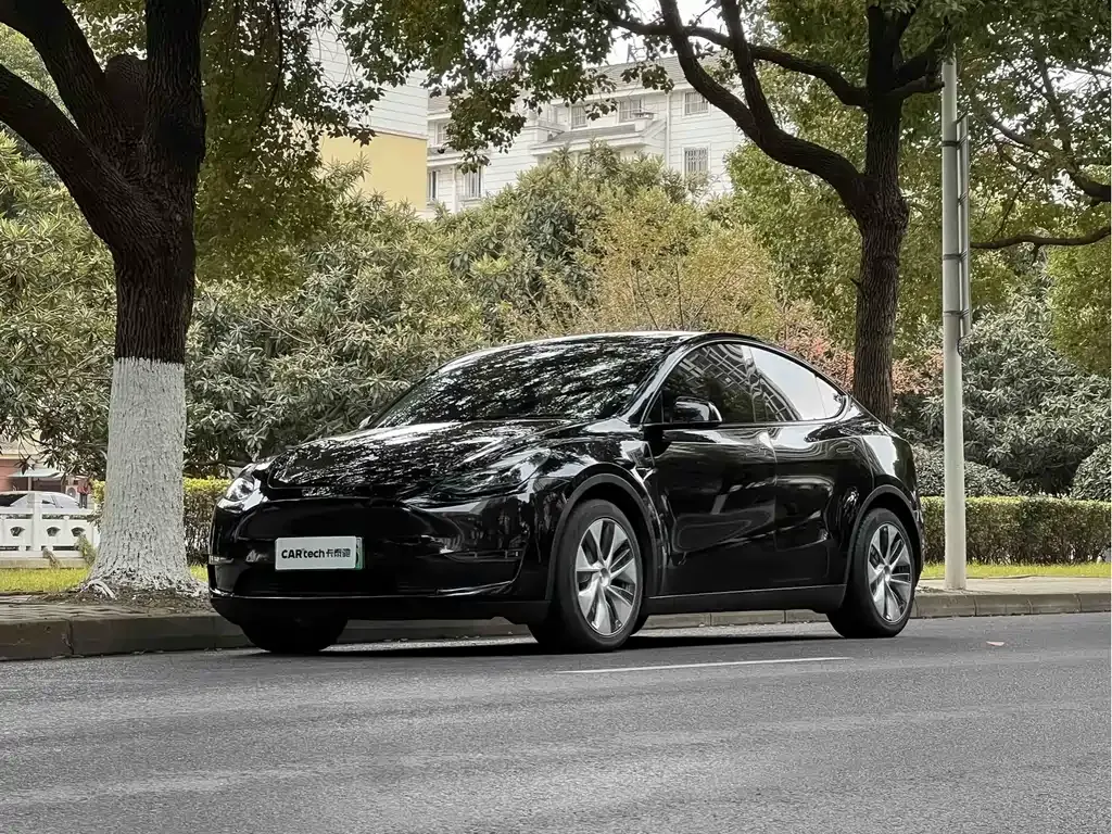 Tesla Model Y — фото 1