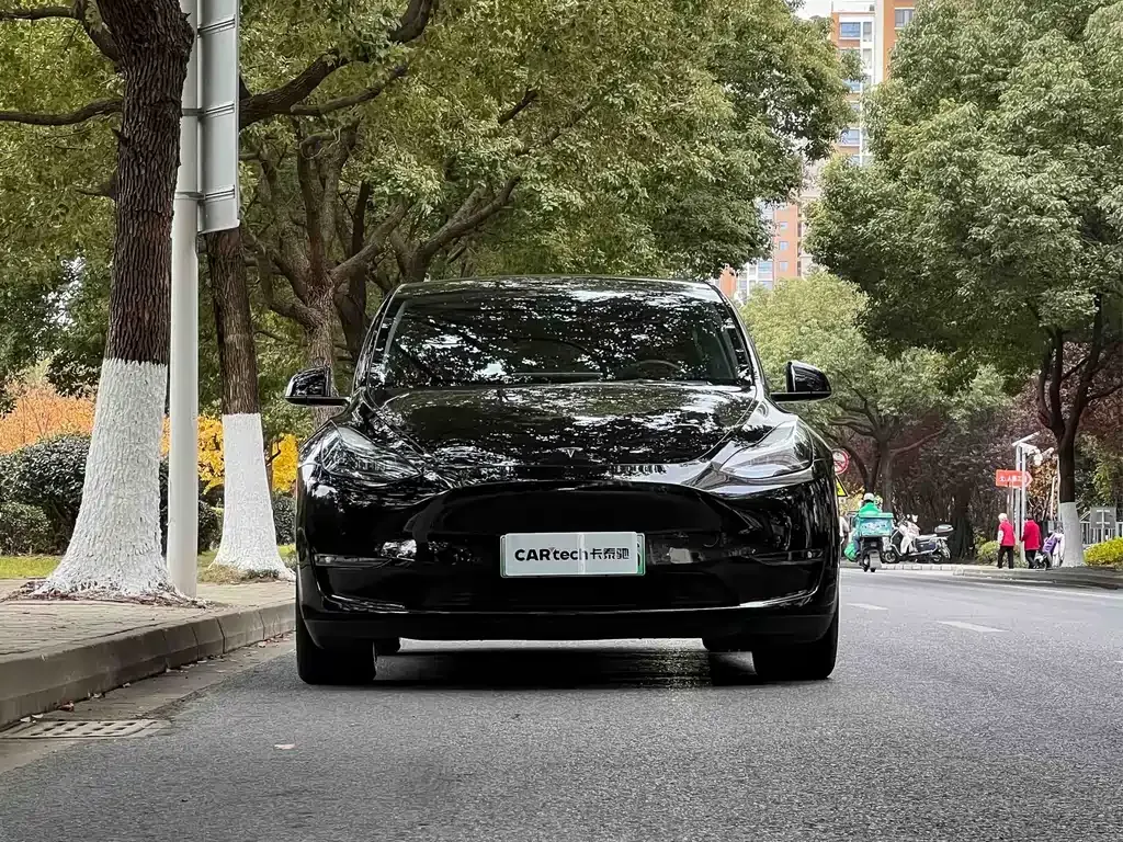 Tesla Model Y — фото 6