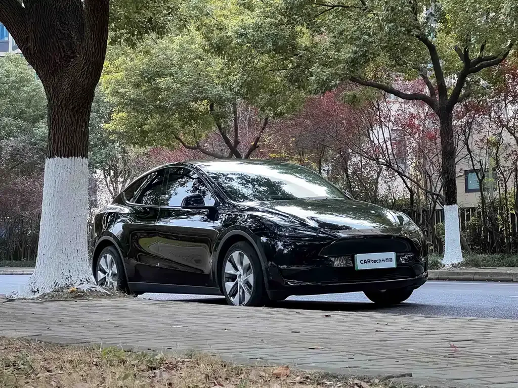 Tesla Model Y — фото 5