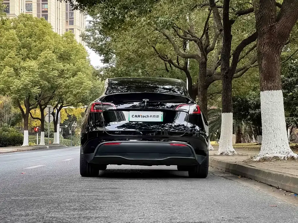 Tesla Model Y — фото 4