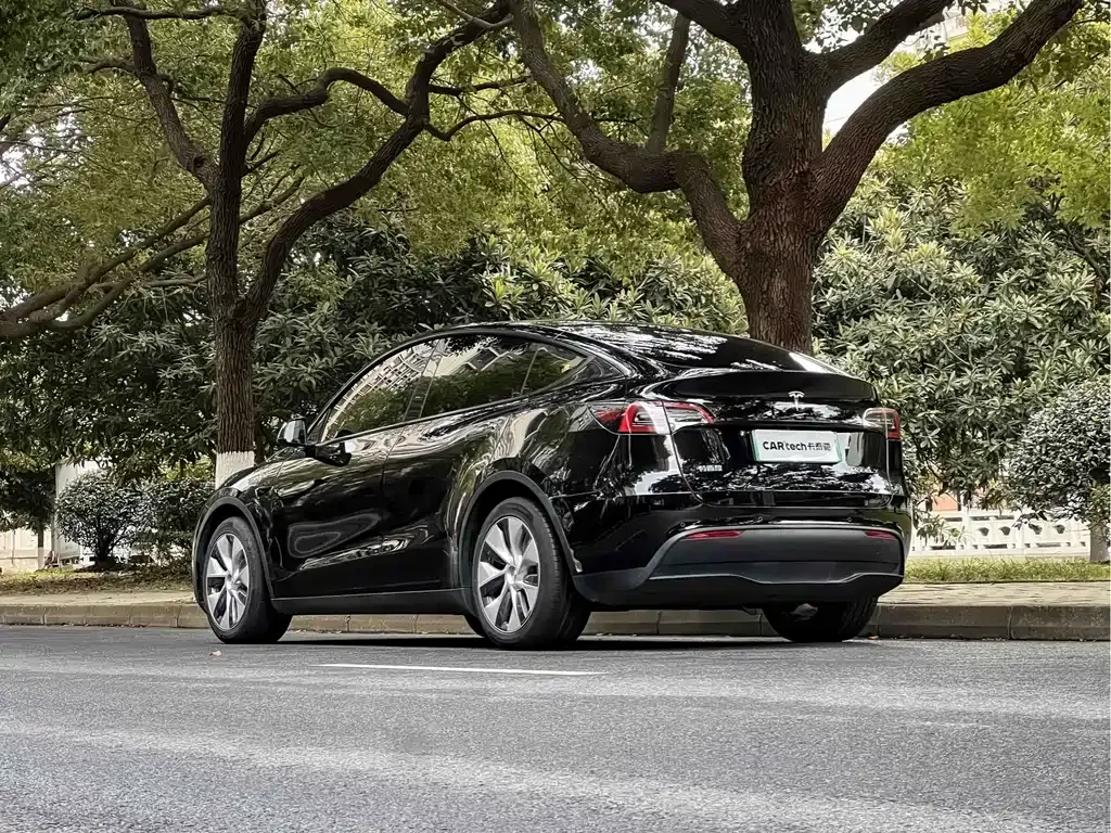 Tesla Model Y — фото 10