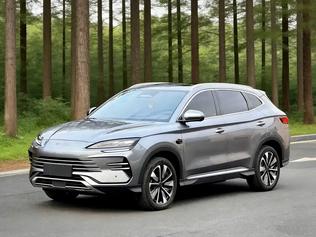 BYD PLUS New Energy — фото 1