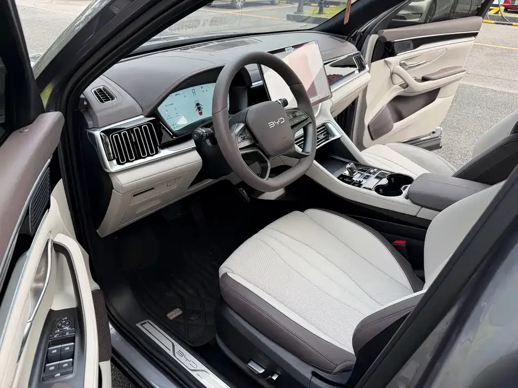 BYD PLUS New Energy — фото 10
