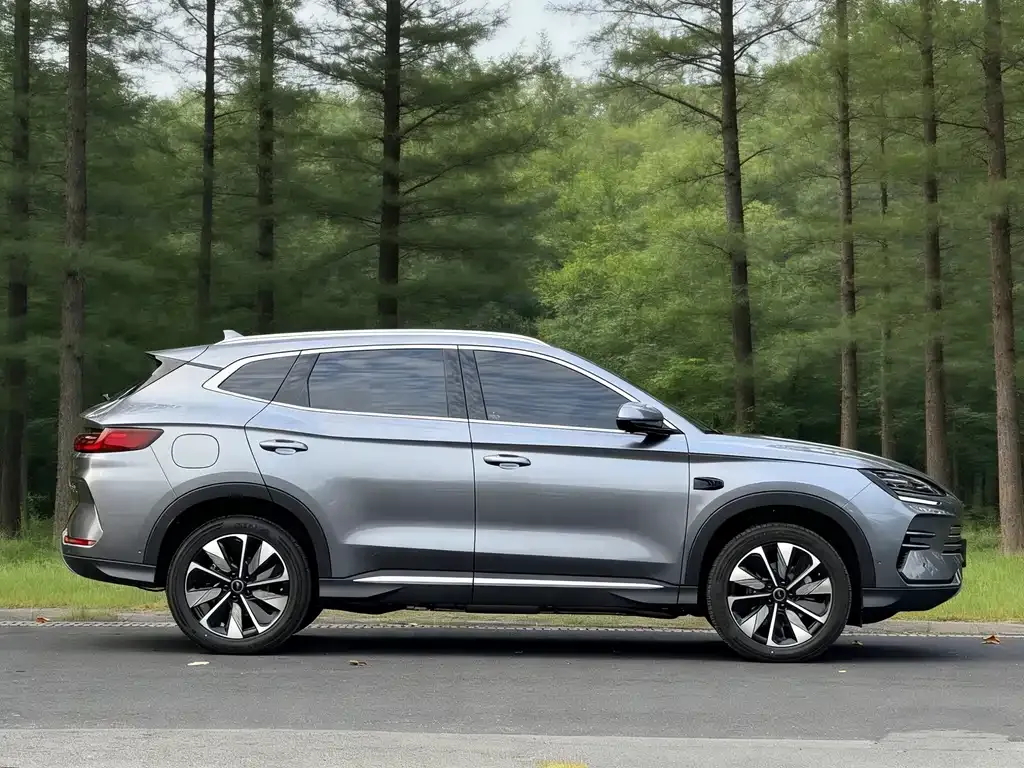 BYD PLUS New Energy — фото 4