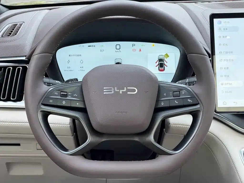 BYD PLUS New Energy — фото 7