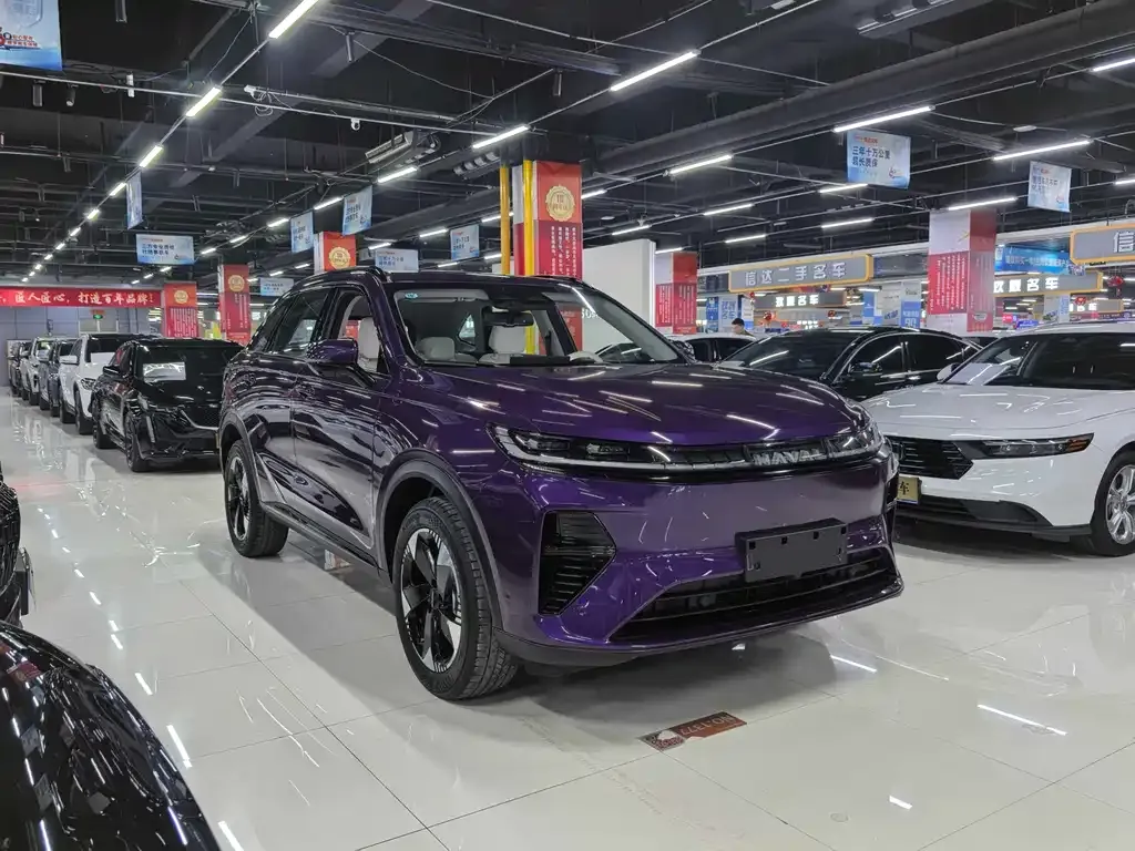 Haval Xiaolong MAX — фото 10