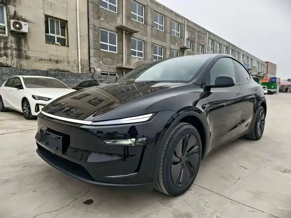 Tesla Model Y 2025 из CN, фото 1