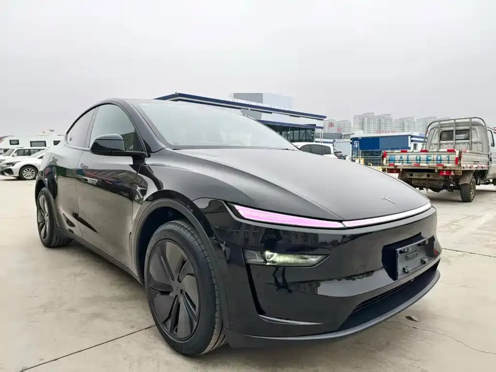Tesla Model Y 2025 из CN, фото 7