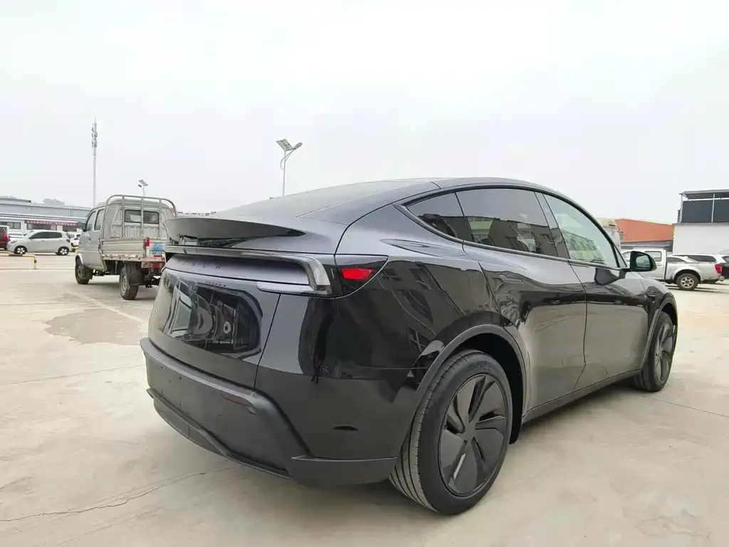 Tesla Model Y 2025 из CN, фото 4