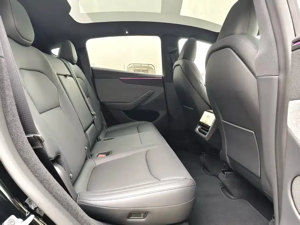 Tesla Model Y 2025 из CN, фото 6