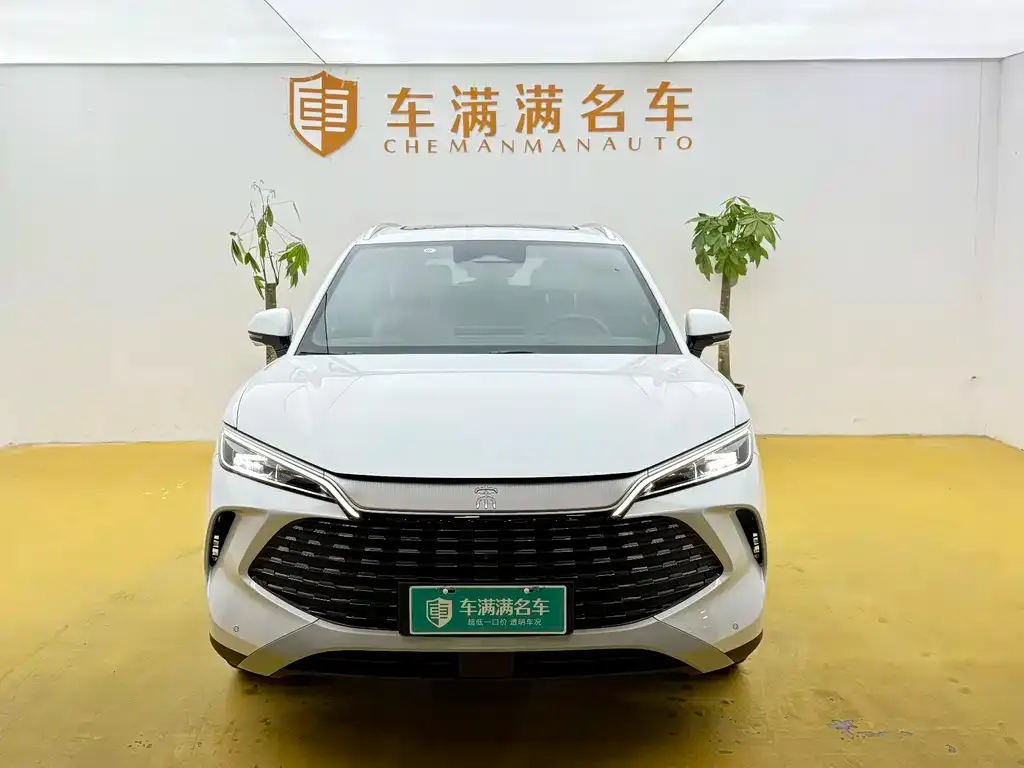 BYD L DM-i 2024 из CN, фото 5