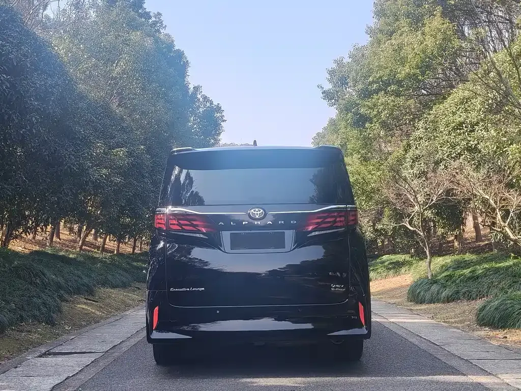Toyota Alphard 2023 из CN, фото 6