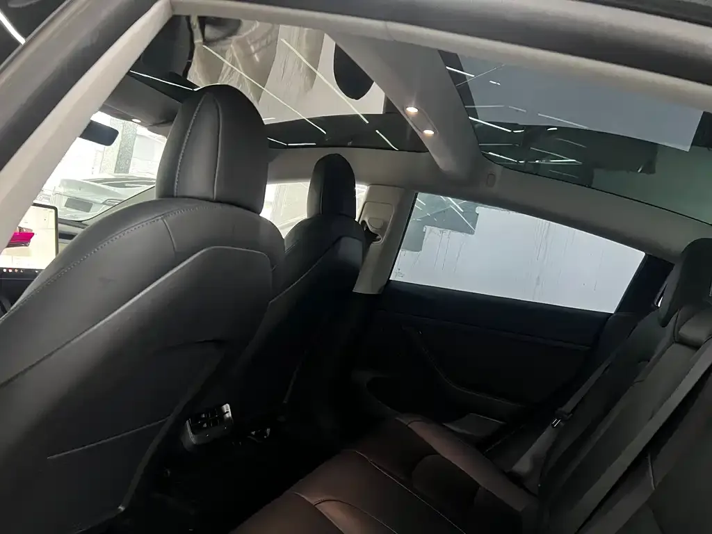 Tesla Model 3 2022 из CN, фото 5