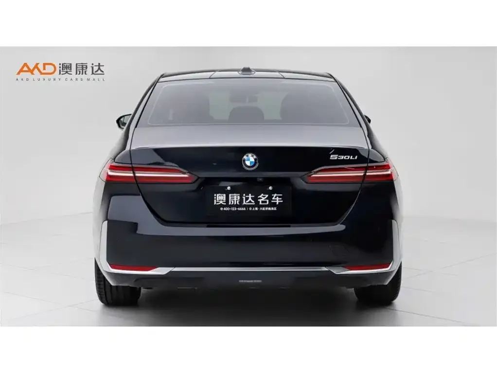 BMW 5 Series 2025 из CN, фото 2