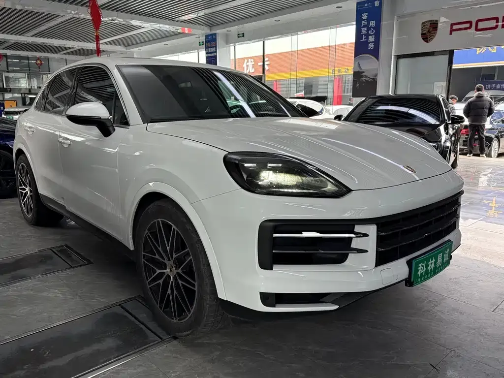 Porsche Cayenne — фото 10