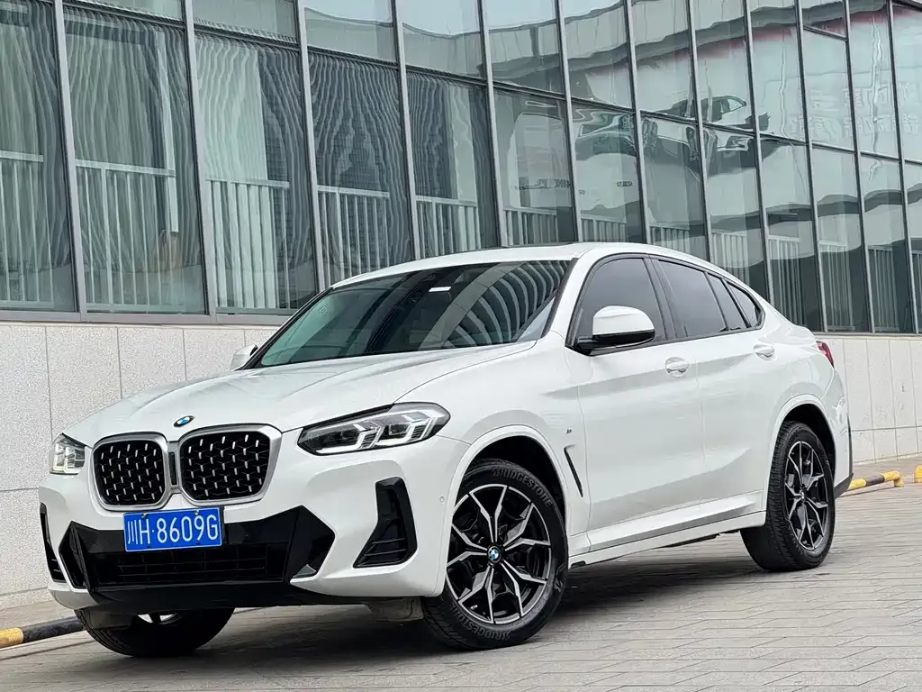 BMW X4 2022 из CN, фото 1