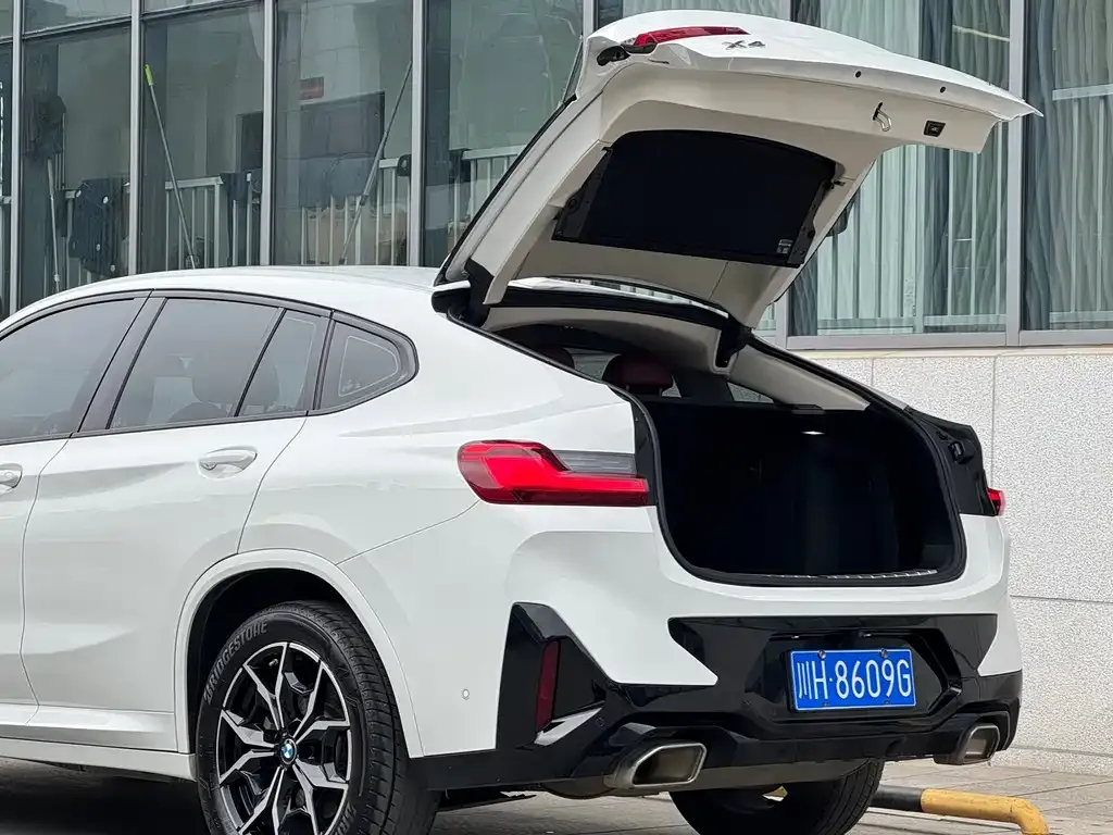 BMW X4 2022 из CN, фото 3