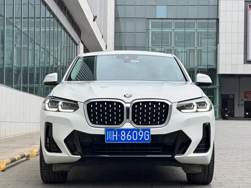 BMW X4 2022 из CN, фото 8