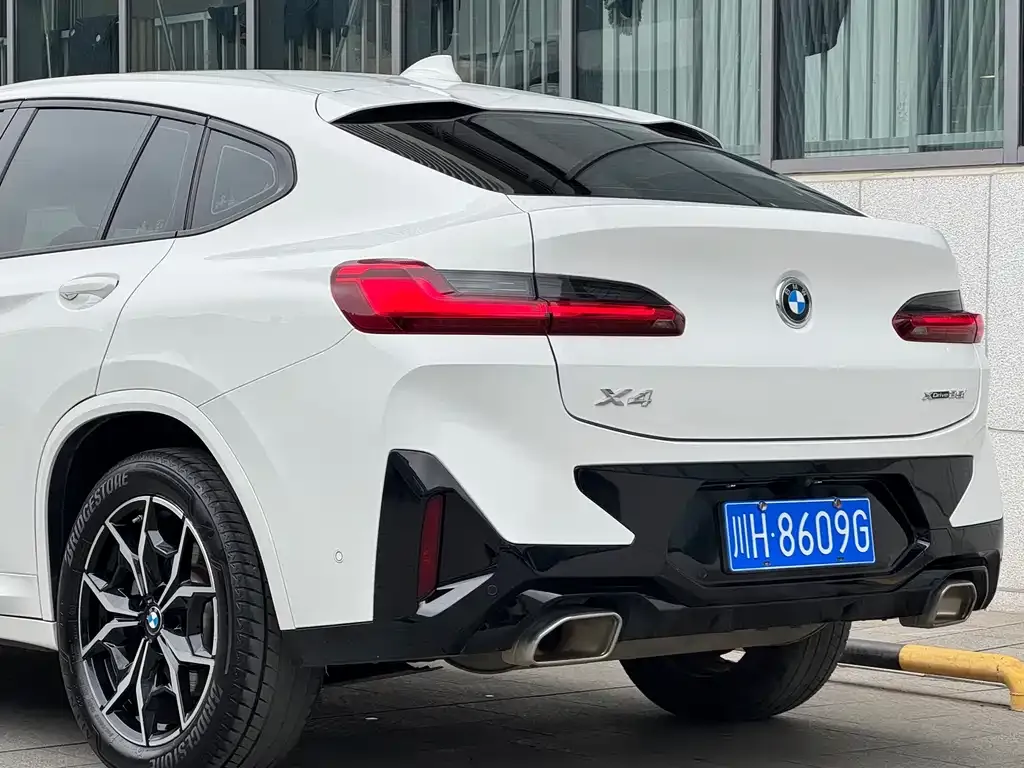 BMW X4 2022 из CN, фото 10