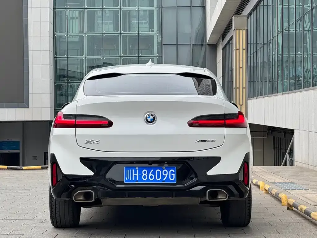 BMW X4 2022 из CN, фото 6