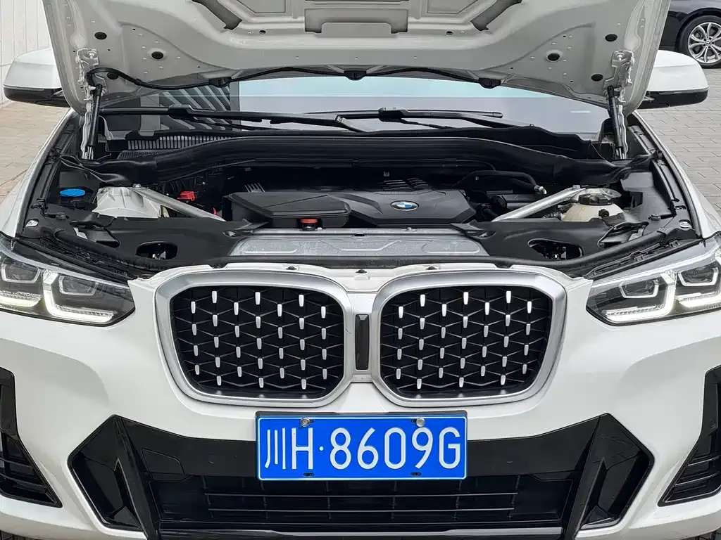BMW X4 2022 из CN, фото 7