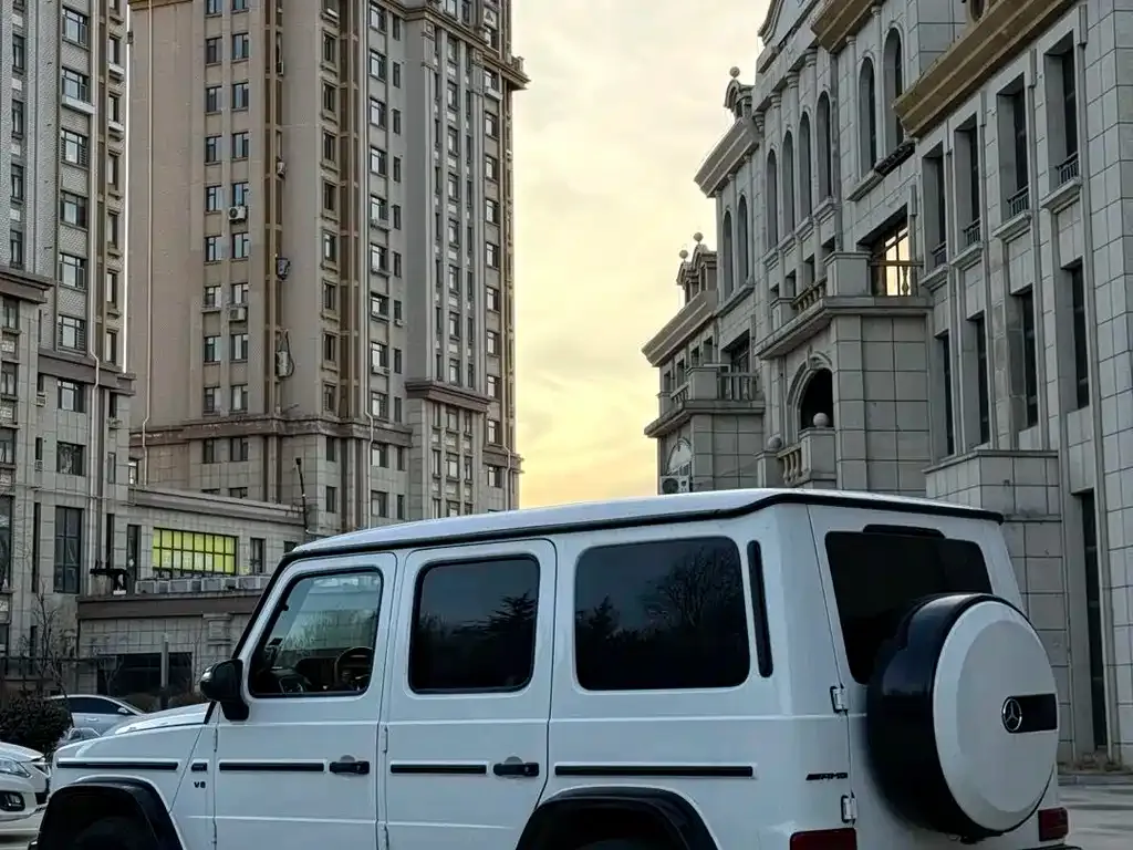 Mercedes-Benz G-Class 2021 из CN, фото 2