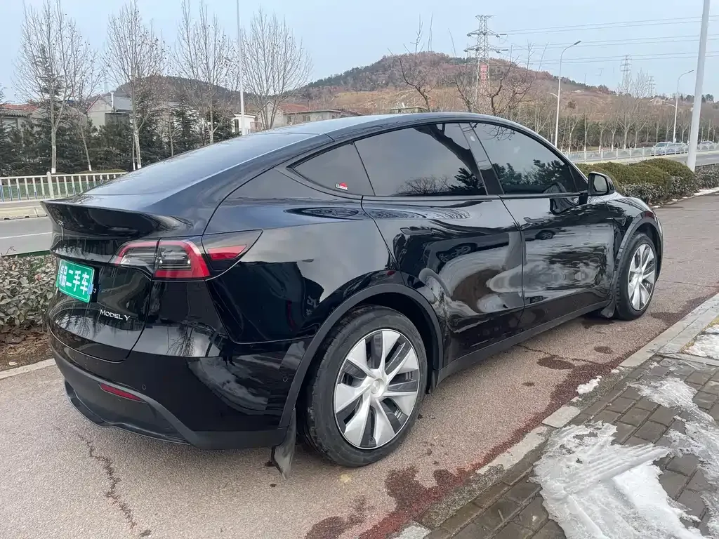 Tesla Model Y — фото 8