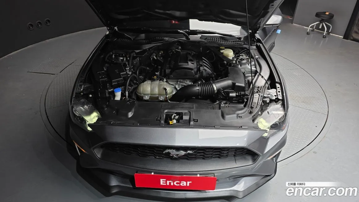 Ford Mustang 2021 из KR, фото 7