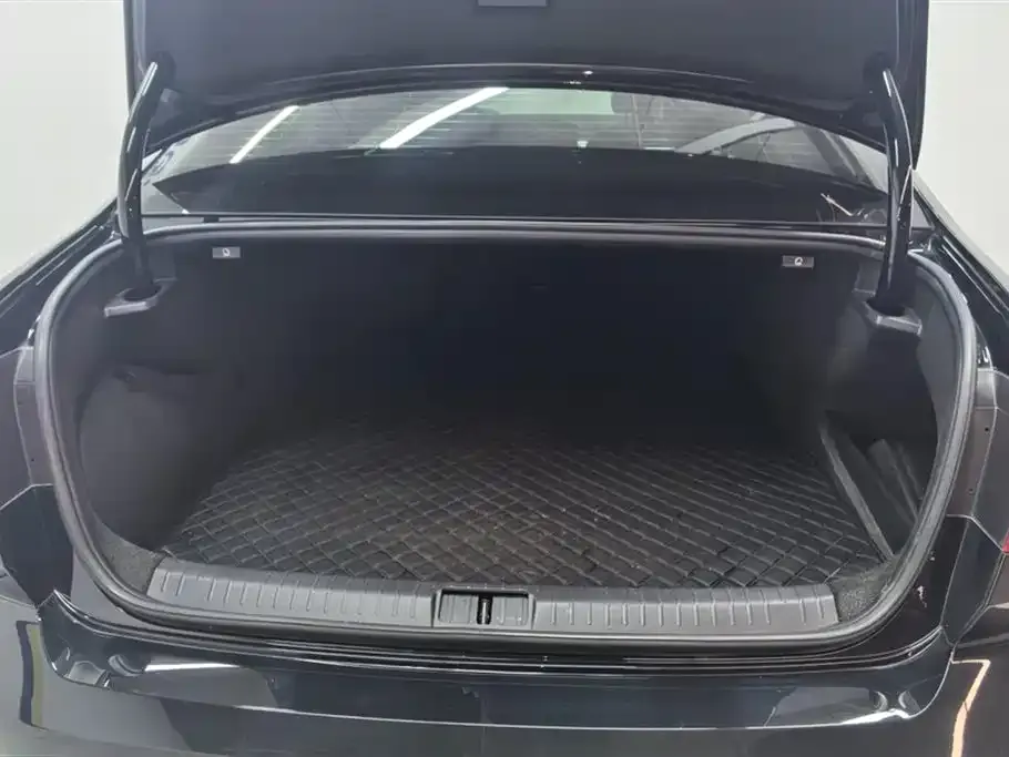 Volkswagen Magotan GTE PHEV 2024 из CN, фото 4