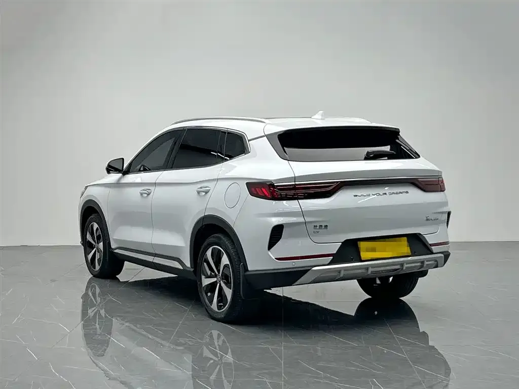 BYD PLUS New Energy 2022 из CN, фото 10