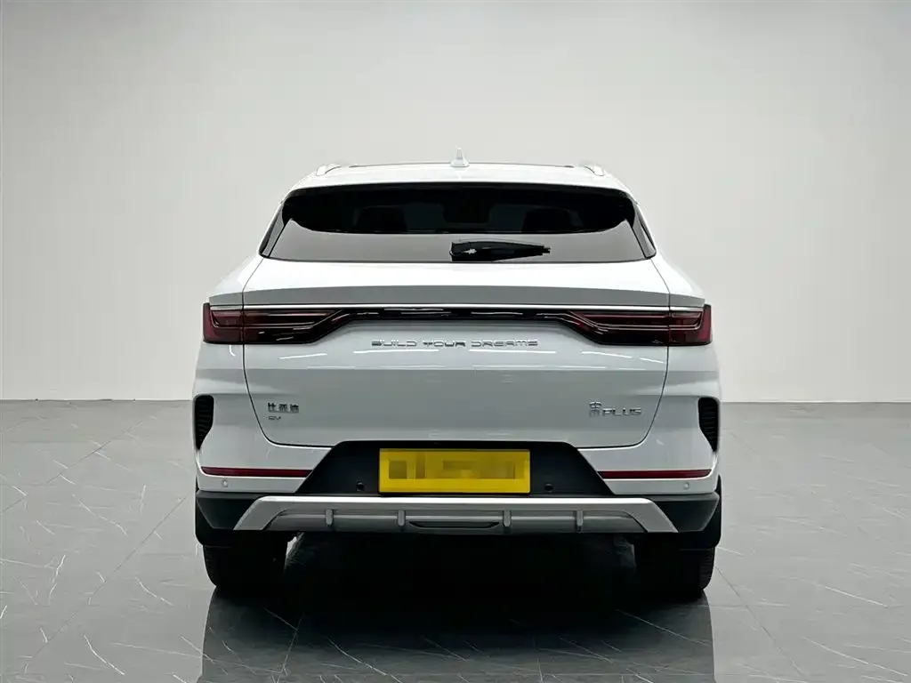 BYD PLUS New Energy 2022 из CN, фото 3