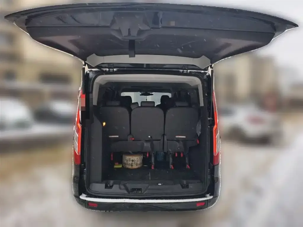 Ford Tourneo 2021 из CN, фото 2