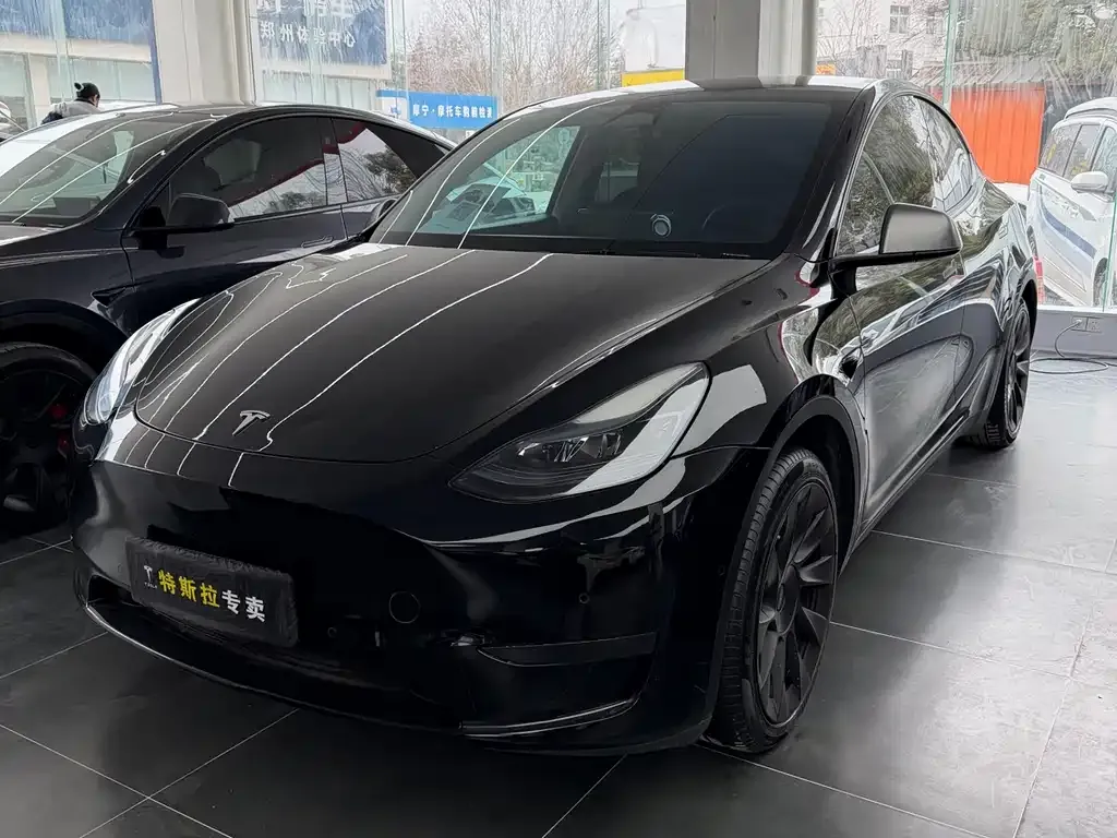 Tesla Model Y — фото 1