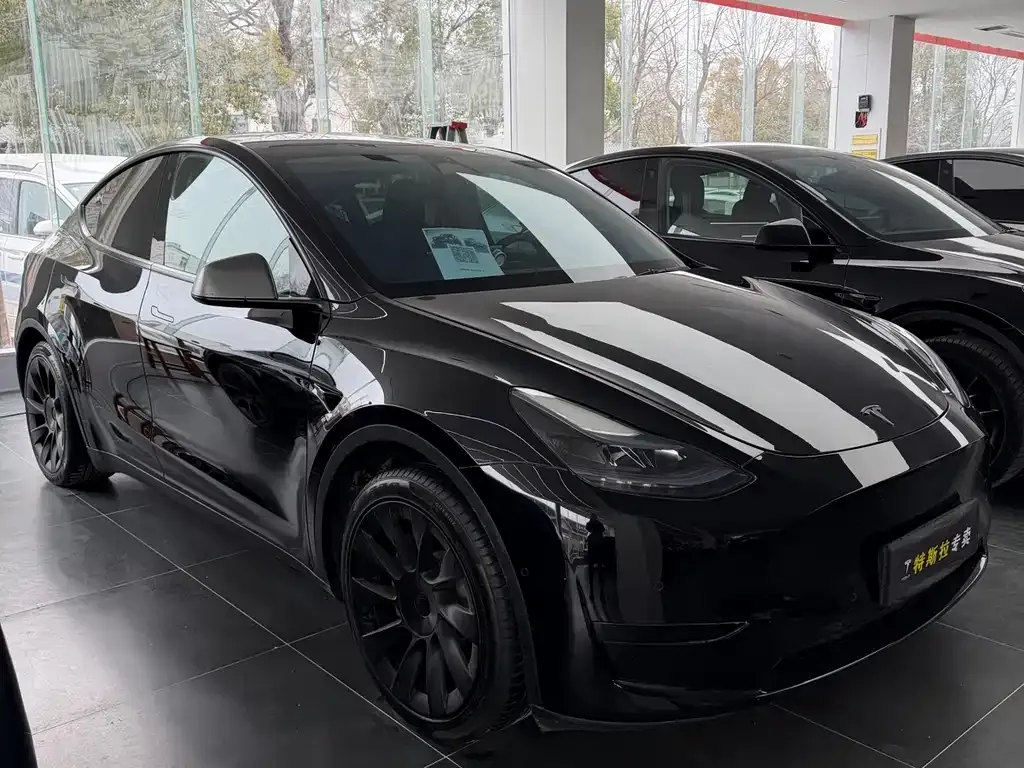 Tesla Model Y — фото 6