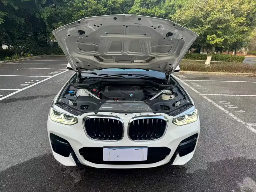 BMW X4 2021 из CN, фото 8