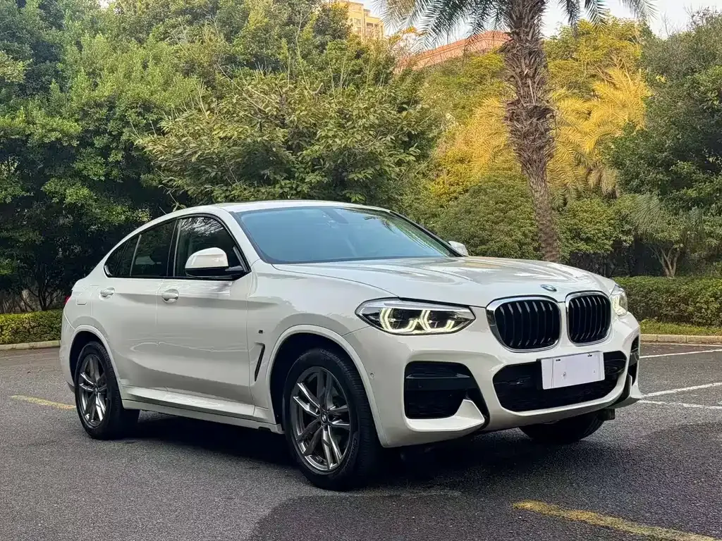 BMW X4 2021 из CN, фото 4