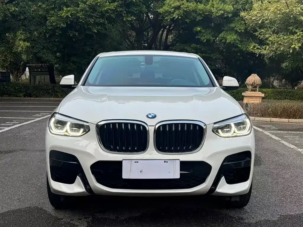 BMW X4 2021 из CN, фото 6