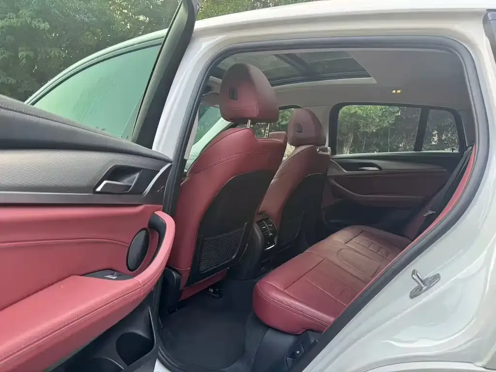 BMW X4 2021 из CN, фото 5