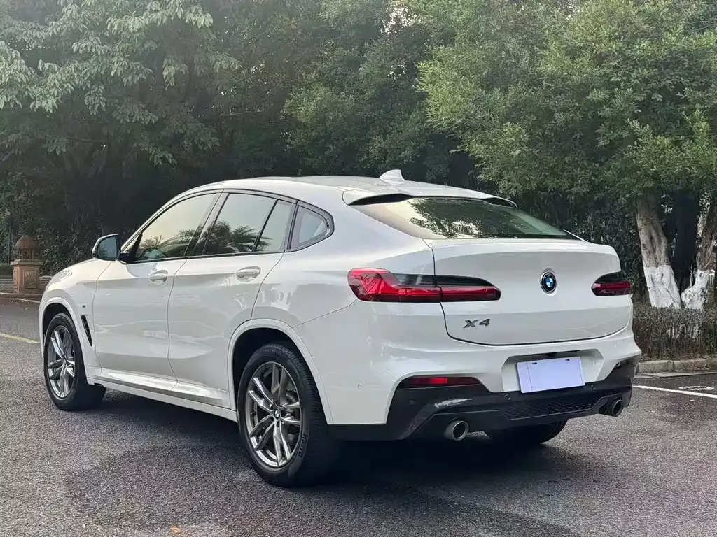 BMW X4 2021 из CN, фото 9